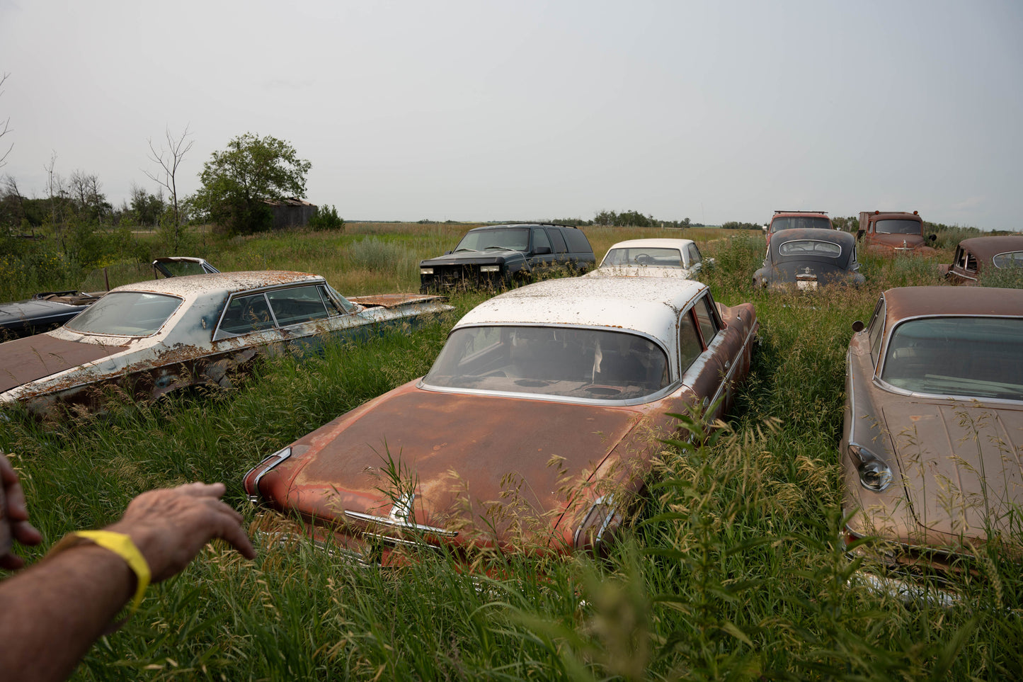 Terry's Cars