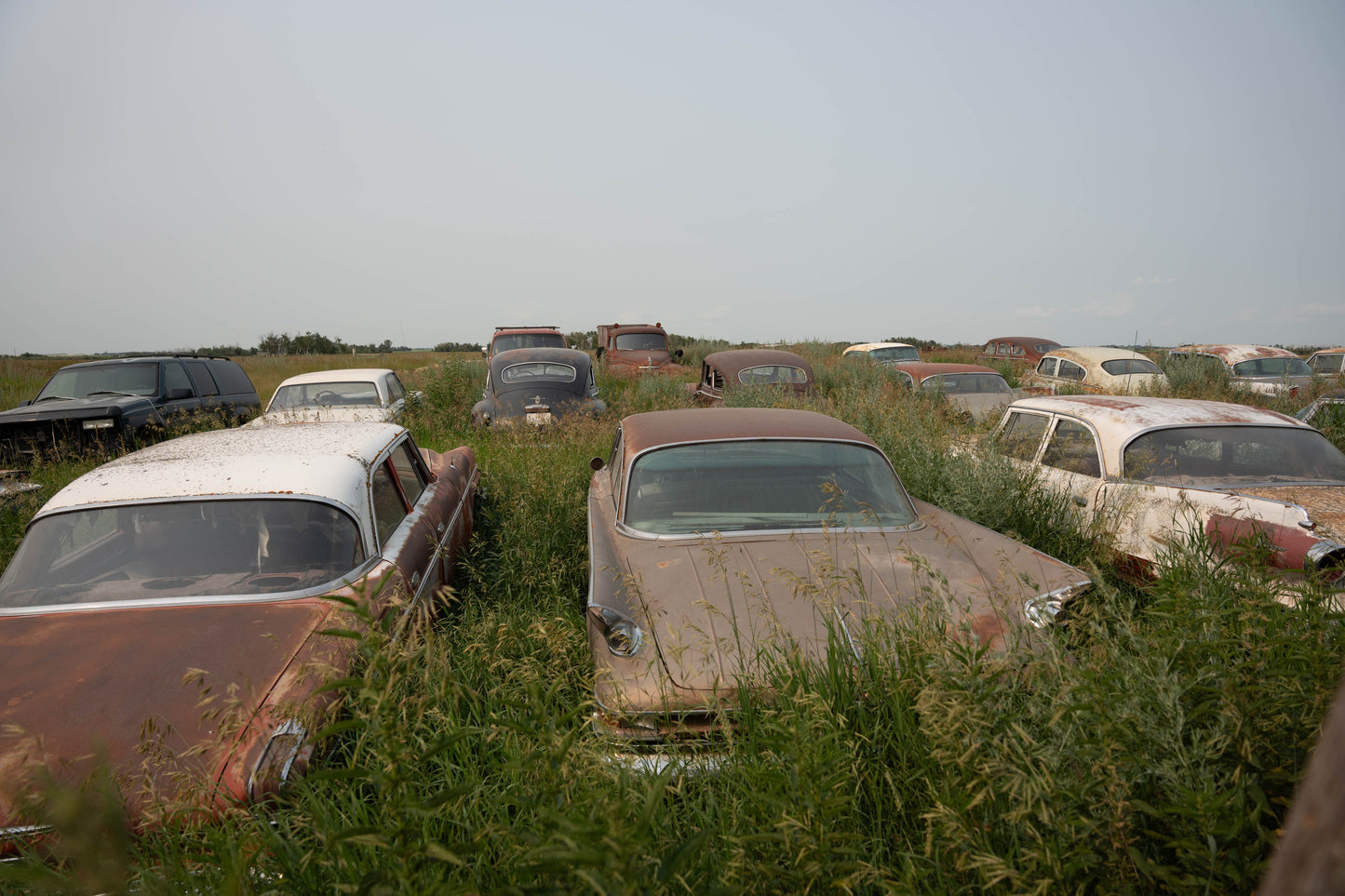 Terry's Cars