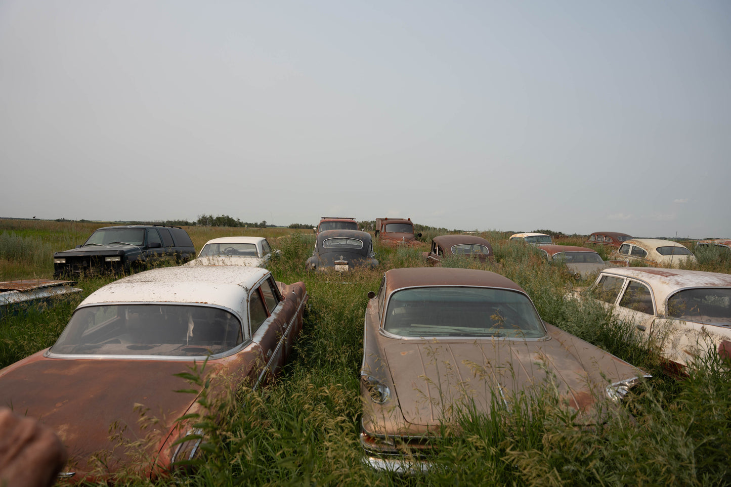 Terry's Cars