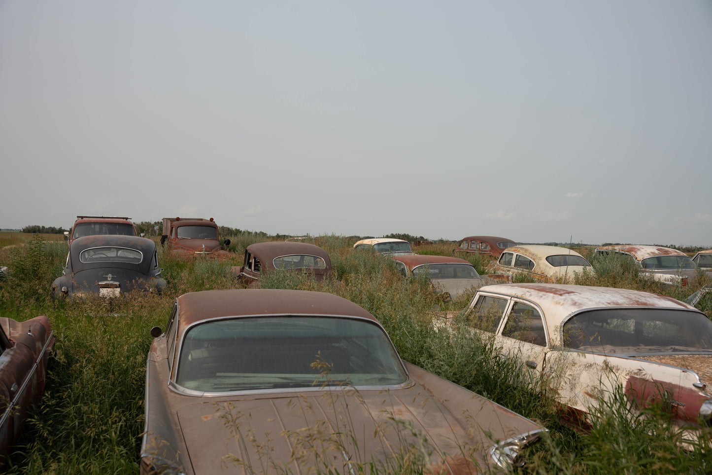 Terry's Cars
