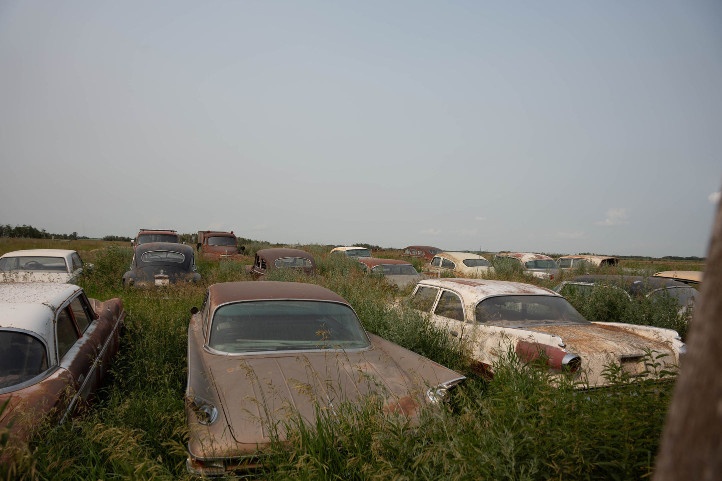Terry's Cars