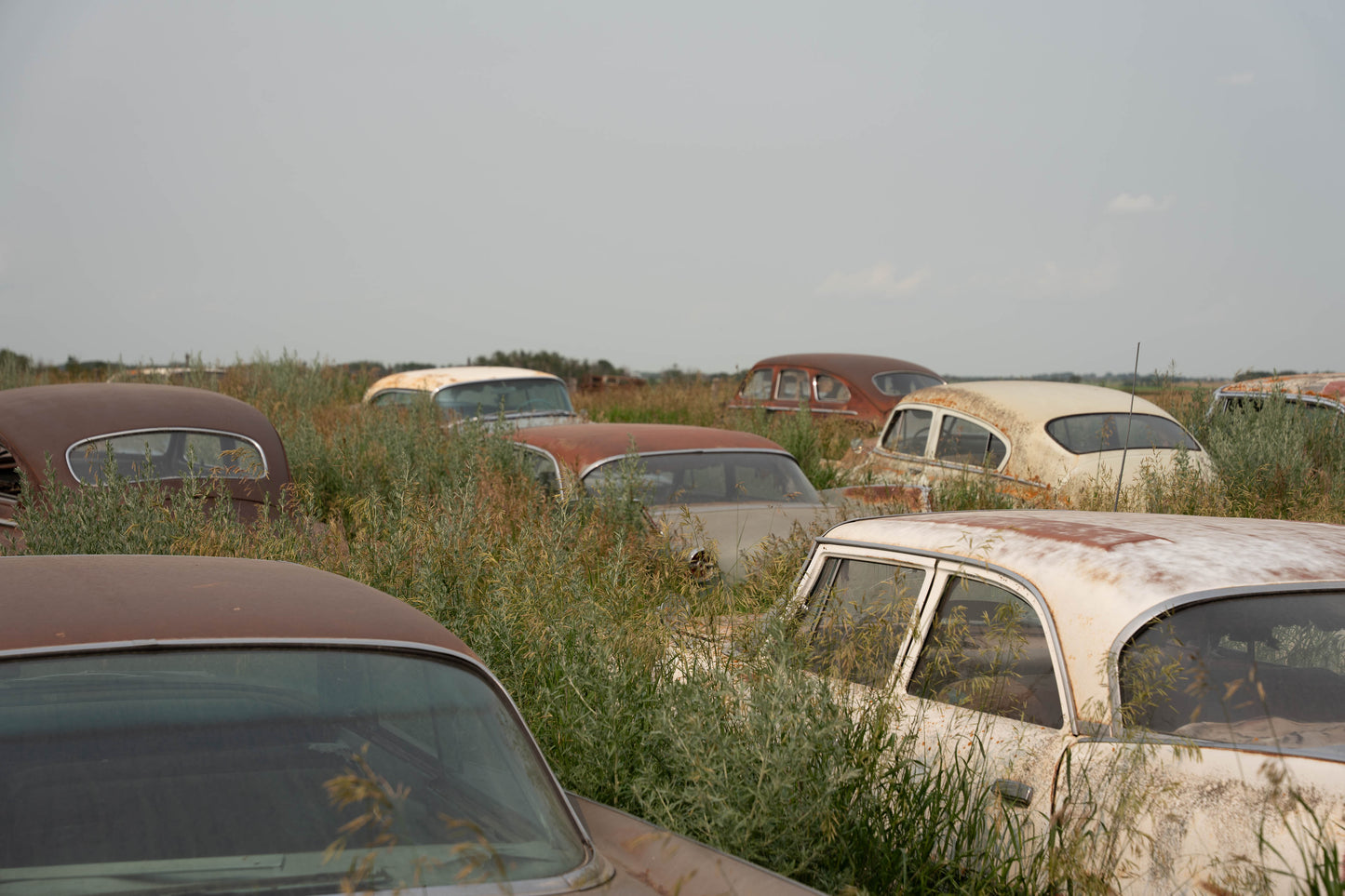 Terry's Cars