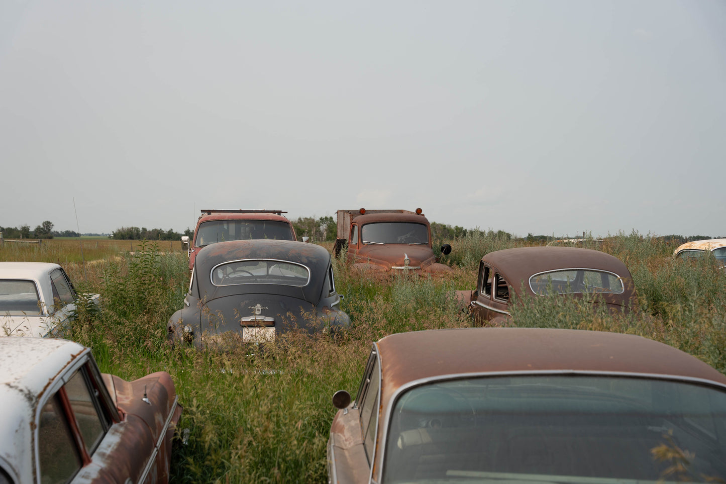 Terry's Cars