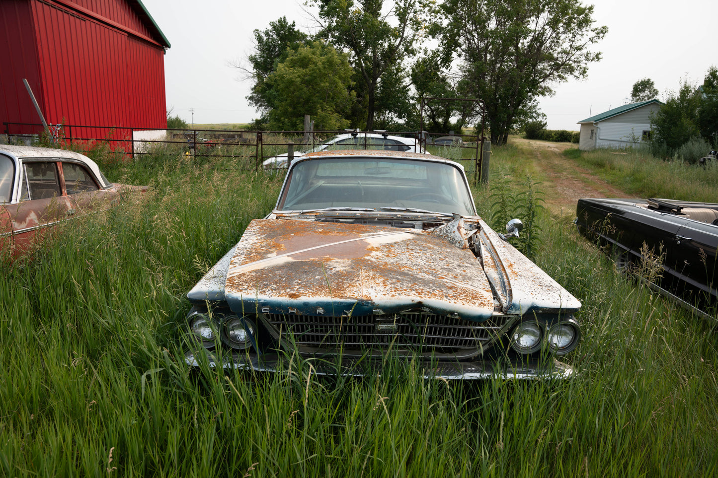 Terry's Cars
