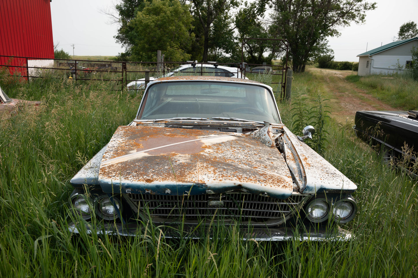 Terry's Cars