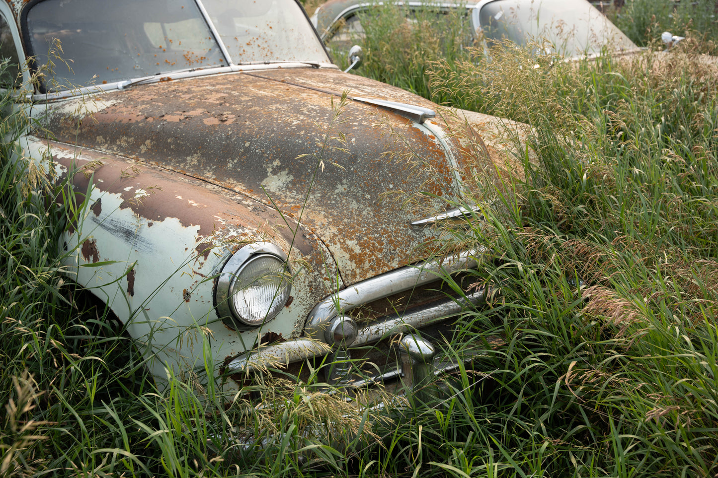 Terry's Cars