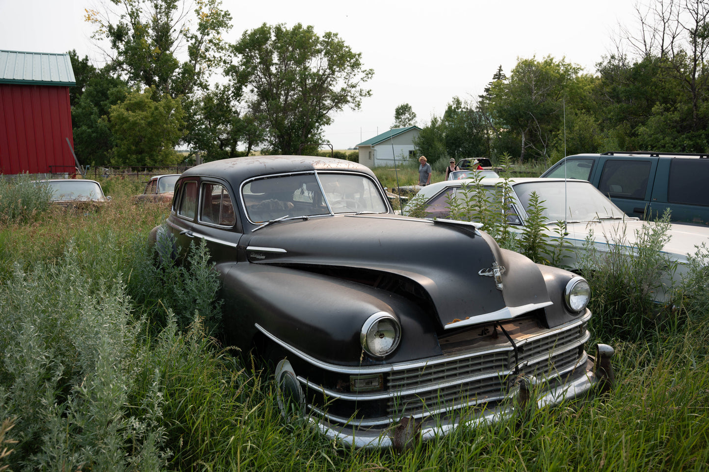 Terry's Cars
