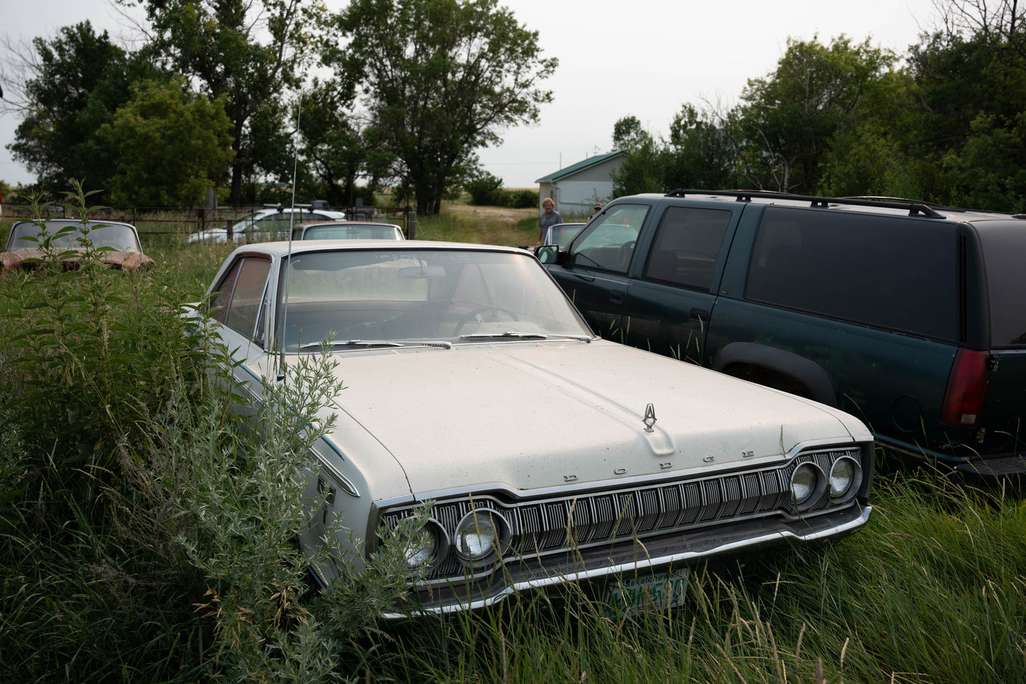 Terry's Cars